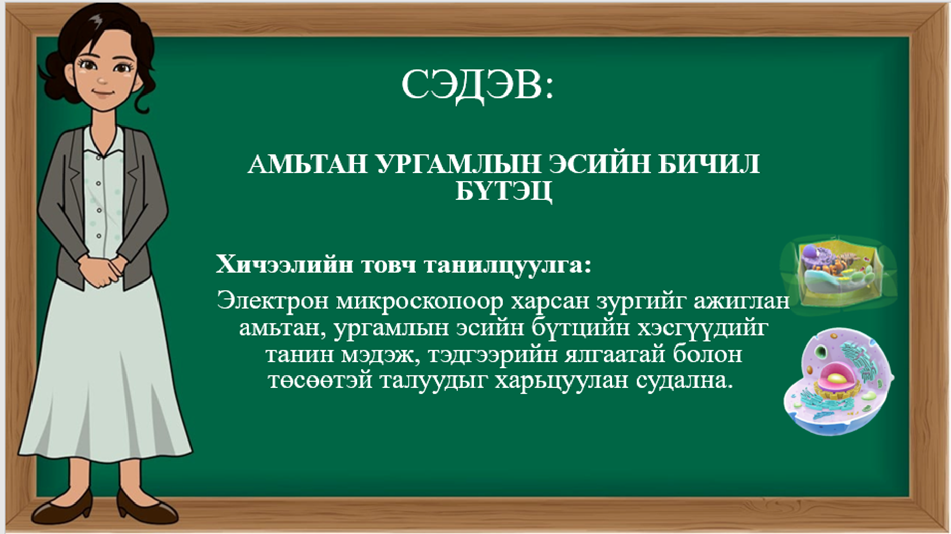 Мэдлээ | Цахим контент